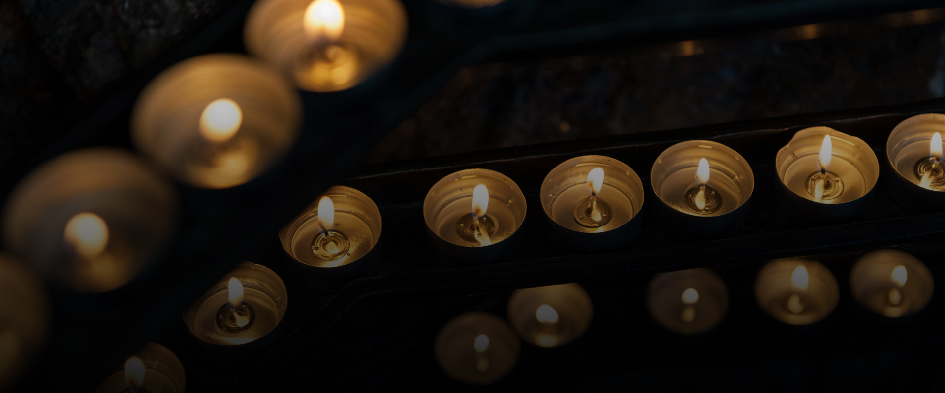 Non Profit Wordpress Theme